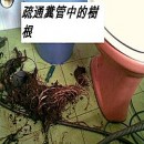 台中通馬桶達人